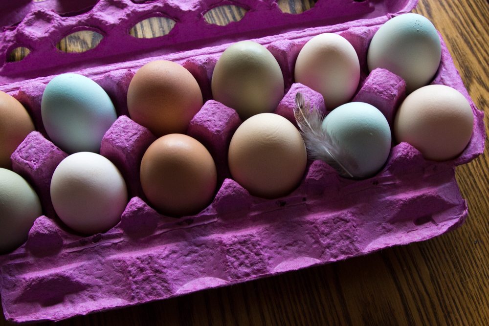 Why We Don't Sell Egg Stamps – Authentic Heirlooms