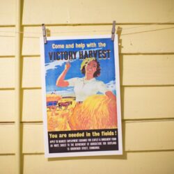 Come and Help with the Victory Harvest Poster