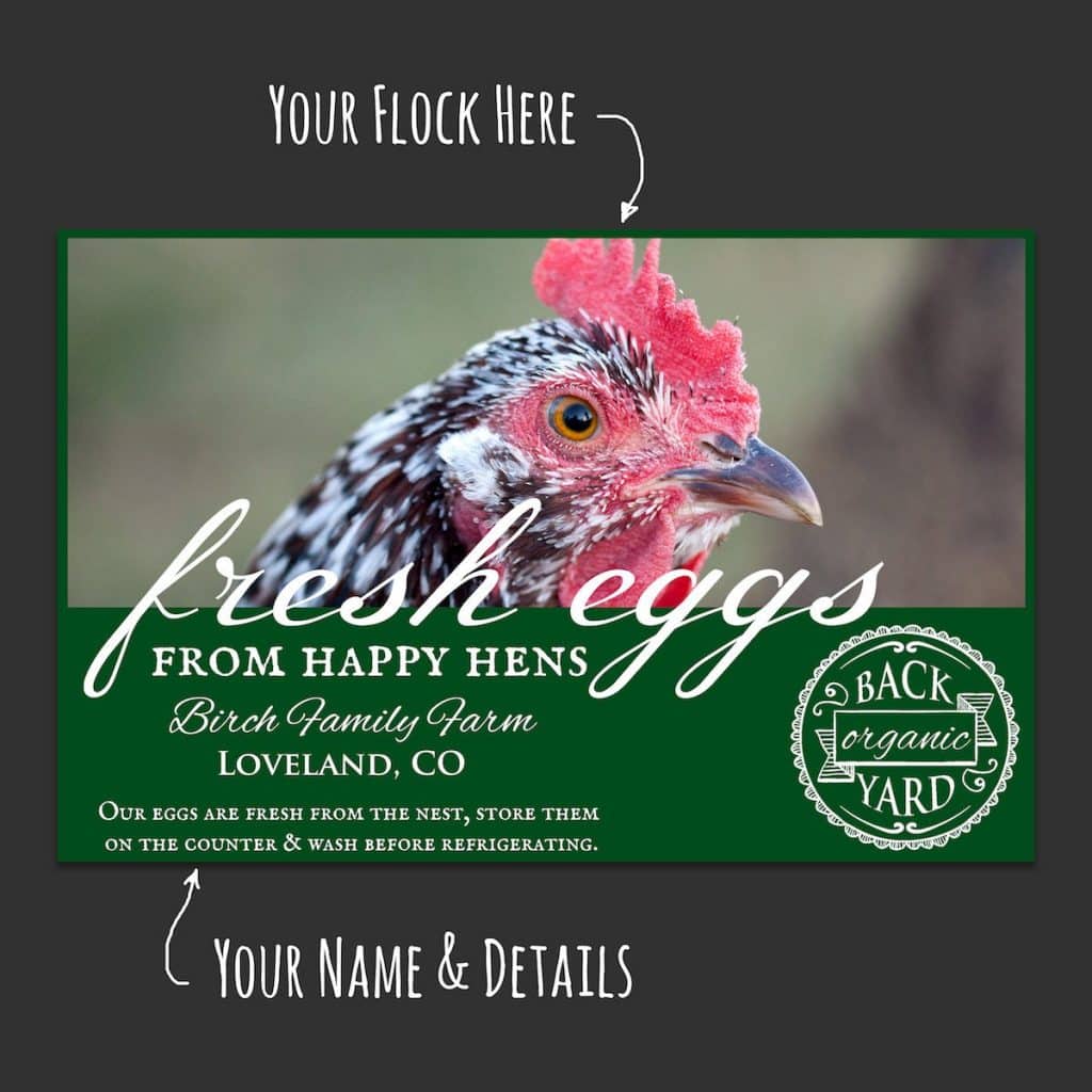 Fresh Eggs - Customizable Egg Carton Stamp – Authentic Heirlooms