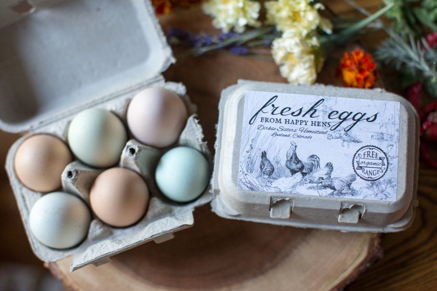 Custom Egg Carton Labels - Vintage Chicken Drawing Half Dozen