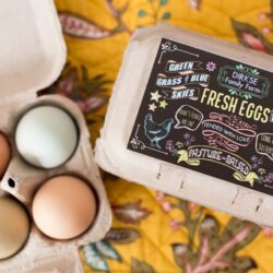 Customizable Chalkboard Style Egg Carton Label - Fresh Eggs - Pasture Raised