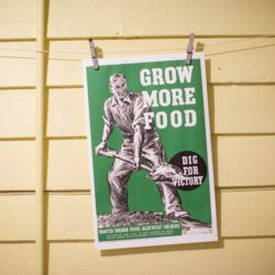 Grow More Food - Dig For Victory Poster