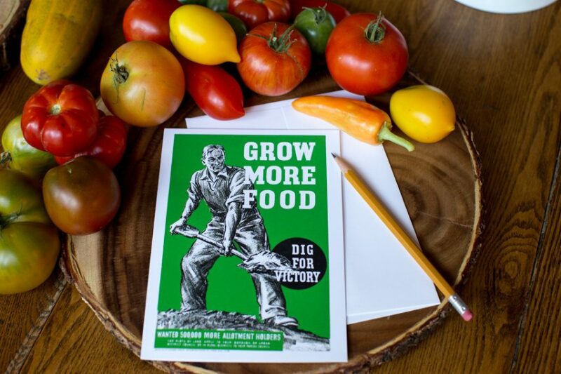 Grow More Food Greeting Card