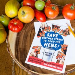 Save Kitchen Scraps to Feed the Hens Greeting Card