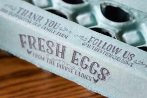 Egg Carton Stamps Set - Fresh Eggs - Family Farm