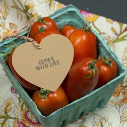 Grown With Love Mini with Stamp Heart Hang Tag