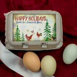 Happy Holidays Egg Carton Label Watercolor