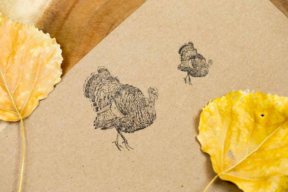 Heritage Breed Turkey Stamp for Thanksgiving