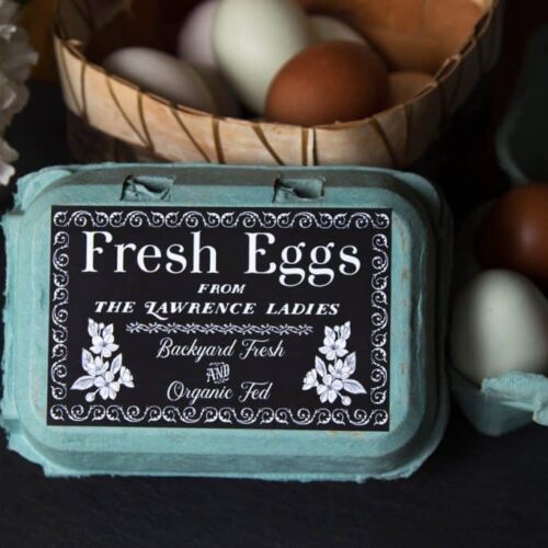 Egg Carton Labels Authentic Heirlooms