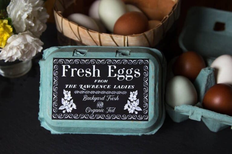 Custom Egg Carton Labels Vintage Chicken Drawing Half Dozen