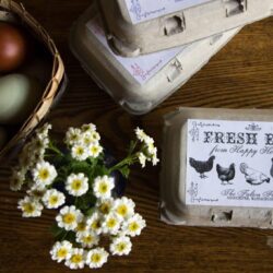 Customizable Vintage Full-Top Label for Egg Cartons