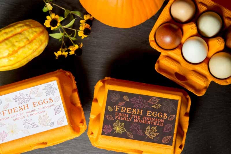 Customizable Egg Carton Labels for Autumn