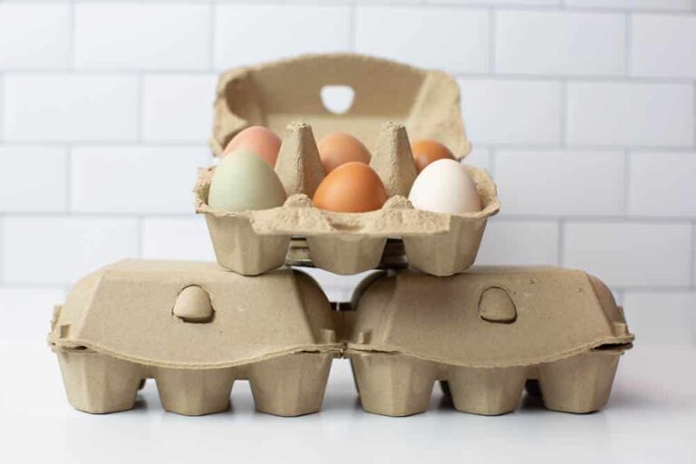 Half Dozen Egg Cartons Split 6 Natural Authentic Heirlooms