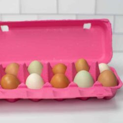 Pink Full Dozen Egg Carton - Flat Top