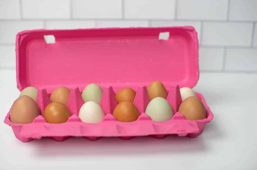 Pink Full Dozen Egg Carton - Flat Top