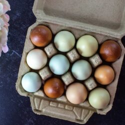Full Dozen Vintage Style Egg Cartons