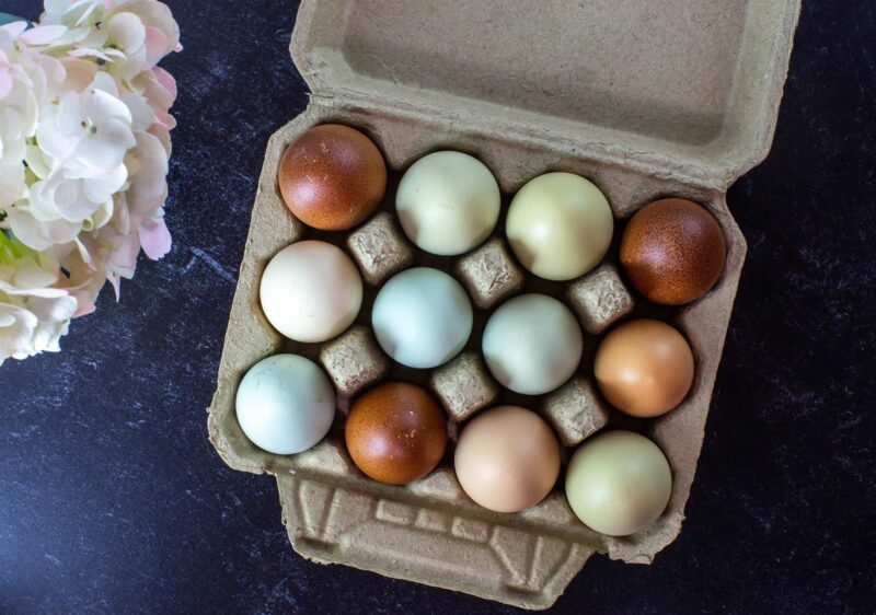 Full Dozen Vintage Style Egg Cartons
