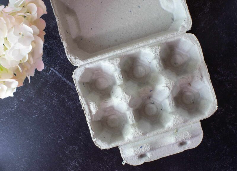 Half Dozen Duck Egg Cartons - Natural Pulp