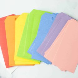 Large Multicolor Hang Tags