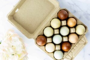 Vintage Dozen Pulp Egg Carton